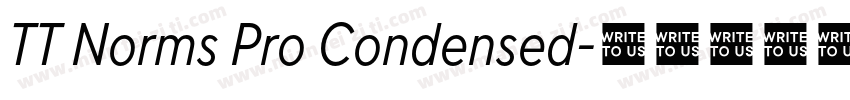 TT Norms Pro Condensed字体转换